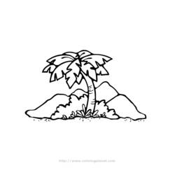 Раскраска: пальма (природа) #161169 - Бесплатные раскраски для печати
