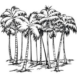 Раскраска: пальма (природа) #161177 - Бесплатные раскраски для печати