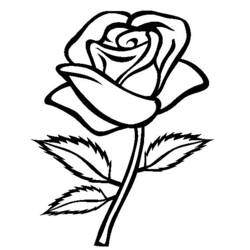 Раскраска: розы (природа) #161865 - Бесплатные раскраски для печати