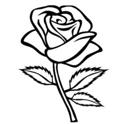 Раскраска: розы (природа) #161866 - Бесплатные раскраски для печати