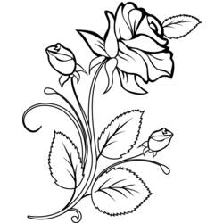 Раскраска: розы (природа) #161874 - Бесплатные раскраски для печати