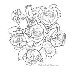 Раскраска: розы (природа) #161877 - Бесплатные раскраски для печати
