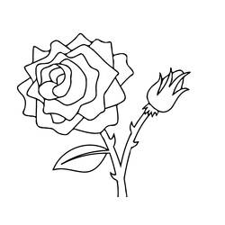 Раскраска: розы (природа) #161881 - Бесплатные раскраски для печати