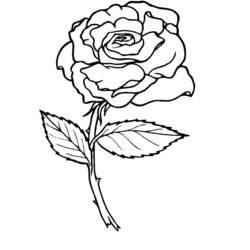 Раскраска: розы (природа) #161884 - Бесплатные раскраски для печати
