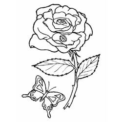Раскраска: розы (природа) #161885 - Бесплатные раскраски для печати