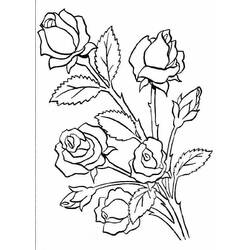 Раскраска: розы (природа) #161886 - Бесплатные раскраски для печати