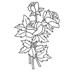 Раскраска: розы (природа) #161895 - Бесплатные раскраски для печати