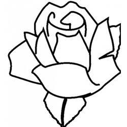 Раскраска: розы (природа) #161927 - Бесплатные раскраски для печати