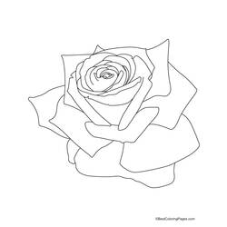 Раскраска: розы (природа) #161938 - Бесплатные раскраски для печати