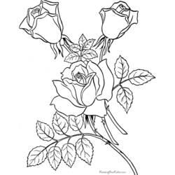 Раскраска: розы (природа) #161984 - Бесплатные раскраски для печати