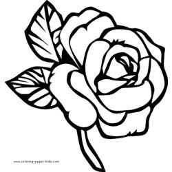 Раскраска: розы (природа) #162017 - Бесплатные раскраски для печати
