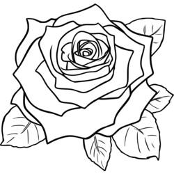 Раскраска: розы (природа) #162072 - Бесплатные раскраски для печати