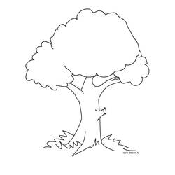 Раскраска: дерево (природа) #154667 - Бесплатные раскраски для печати