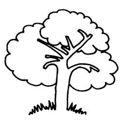 Раскраска: дерево (природа) #154672 - Бесплатные раскраски для печати