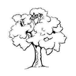 Раскраска: дерево (природа) #154683 - Бесплатные раскраски для печати