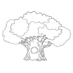 Раскраска: дерево (природа) #154688 - Бесплатные раскраски для печати