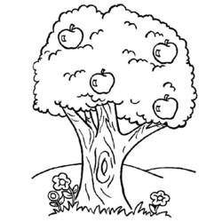 Раскраска: дерево (природа) #154702 - Бесплатные раскраски для печати