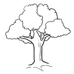 Раскраска: дерево (природа) #154722 - Бесплатные раскраски для печати