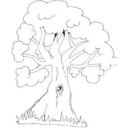 Раскраска: дерево (природа) #154736 - Бесплатные раскраски для печати