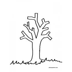 Раскраска: дерево (природа) #154737 - Бесплатные раскраски для печати