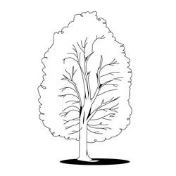 Раскраска: дерево (природа) #154791 - Бесплатные раскраски для печати