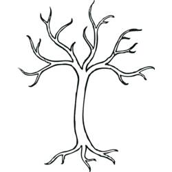 Раскраска: дерево (природа) #154882 - Бесплатные раскраски для печати