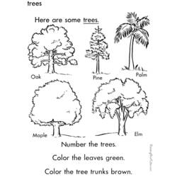 Раскраска: дерево (природа) #154914 - Бесплатные раскраски для печати