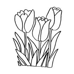 Раскраска: тюльпан (природа) #161613 - Бесплатные раскраски для печати
