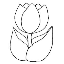 Раскраска: тюльпан (природа) #161621 - Бесплатные раскраски для печати