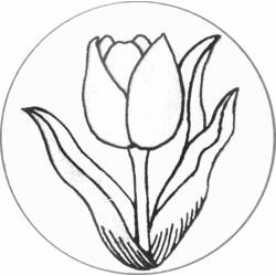Раскраска: тюльпан (природа) #161622 - Бесплатные раскраски для печати