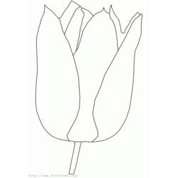 Раскраска: тюльпан (природа) #161633 - Бесплатные раскраски для печати