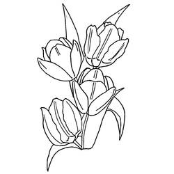 Раскраска: тюльпан (природа) #161636 - Бесплатные раскраски для печати