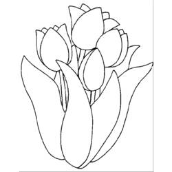 Раскраска: тюльпан (природа) #161642 - Бесплатные раскраски для печати
