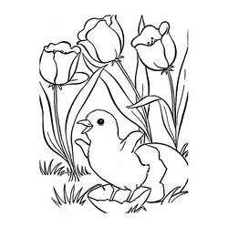 Раскраска: тюльпан (природа) #161650 - Бесплатные раскраски для печати
