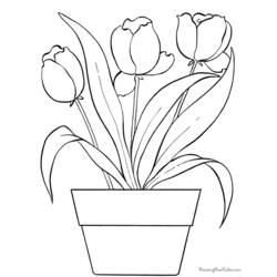Раскраска: тюльпан (природа) #161661 - Бесплатные раскраски для печати