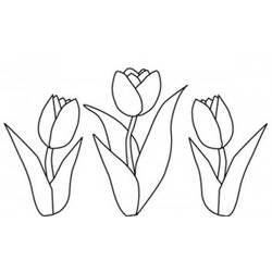 Раскраска: тюльпан (природа) #161684 - Бесплатные раскраски для печати