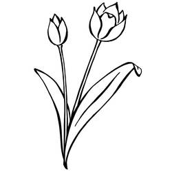 Раскраска: тюльпан (природа) #161697 - Бесплатные раскраски для печати