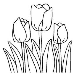 Раскраска: тюльпан (природа) #161701 - Бесплатные раскраски для печати
