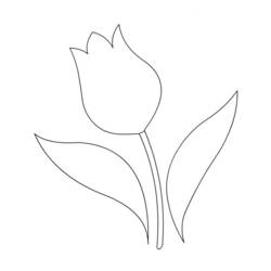 Раскраска: тюльпан (природа) #161710 - Бесплатные раскраски для печати