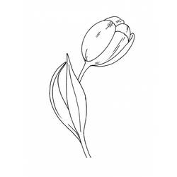 Раскраска: тюльпан (природа) #161732 - Бесплатные раскраски для печати