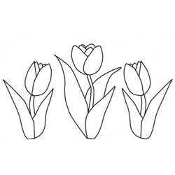 Раскраска: тюльпан (природа) #161755 - Бесплатные раскраски для печати