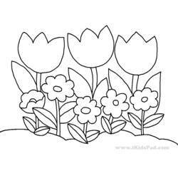 Раскраска: тюльпан (природа) #161758 - Бесплатные раскраски для печати