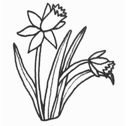 Раскраска: тюльпан (природа) #161759 - Бесплатные раскраски для печати