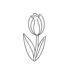 Раскраска: тюльпан (природа) #161767 - Бесплатные раскраски для печати