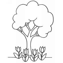 Раскраска: тюльпан (природа) #161772 - Бесплатные раскраски для печати