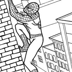 Раскраска: человек-паук (Супер герой) #78647 - Бесплатные раскраски для печати
